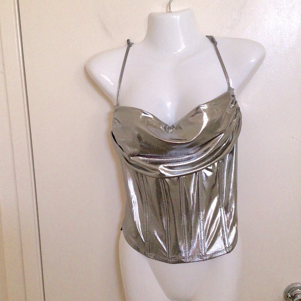 Sincerely Jules Metallic Silver Top Bustier